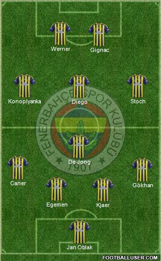 Fenerbahçe SK Formation 2015