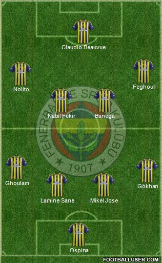Fenerbahçe SK Formation 2015