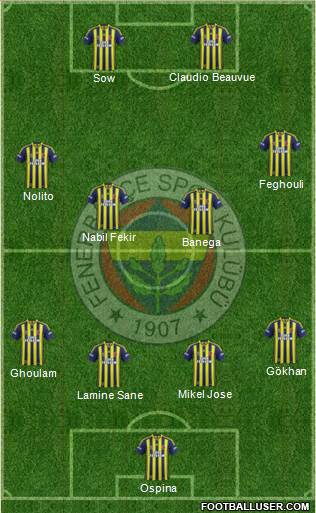 Fenerbahçe SK Formation 2015