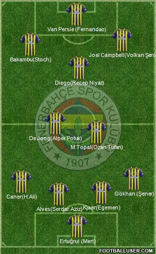 Fenerbahçe SK Formation 2015
