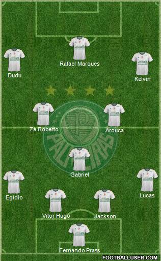 SE Palmeiras Formation 2015