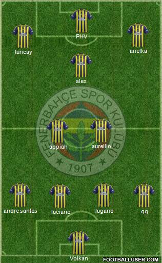 Fenerbahçe SK Formation 2015