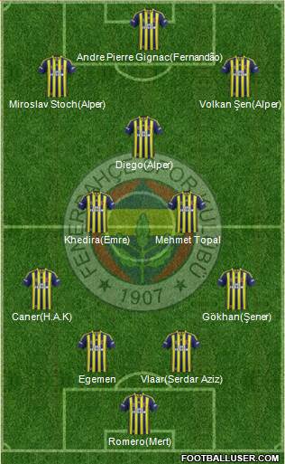 Fenerbahçe SK Formation 2015