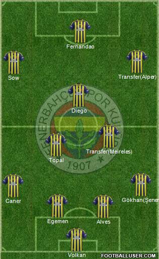 Fenerbahçe SK Formation 2015