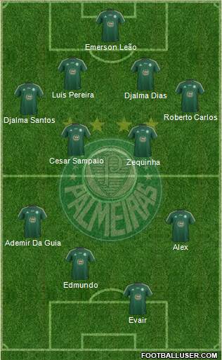 SE Palmeiras Formation 2015