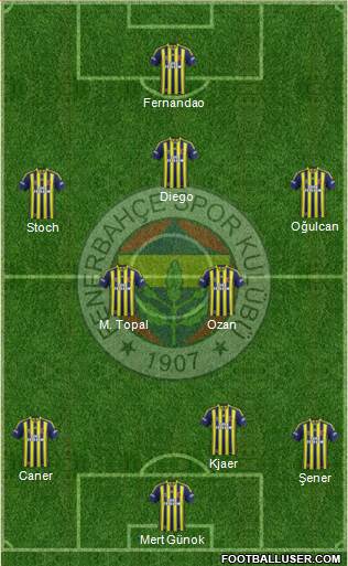 Fenerbahçe SK Formation 2015