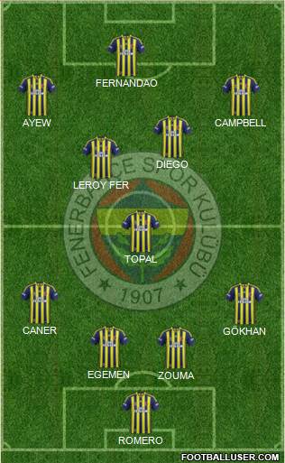 Fenerbahçe SK Formation 2015