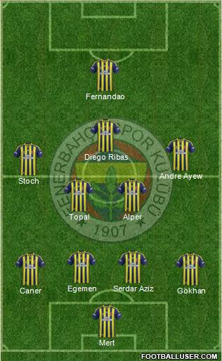 Fenerbahçe SK Formation 2015