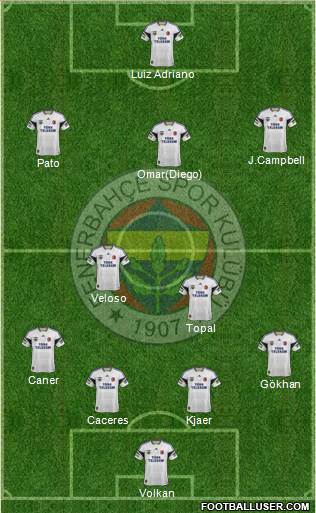 Fenerbahçe SK Formation 2015