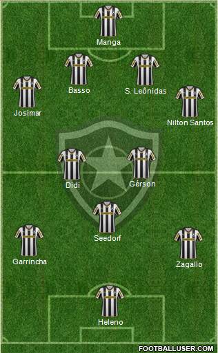 Botafogo FR Formation 2015