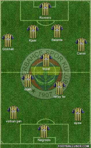 Fenerbahçe SK Formation 2015