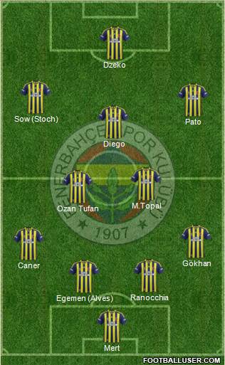 Fenerbahçe SK Formation 2015