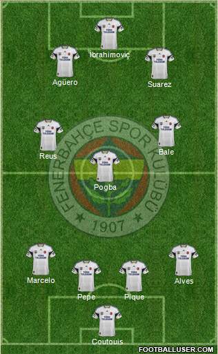 Fenerbahçe SK Formation 2015