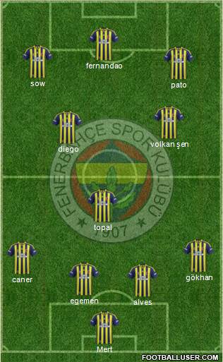 Fenerbahçe SK Formation 2015