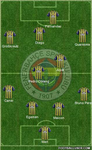 Fenerbahçe SK Formation 2015