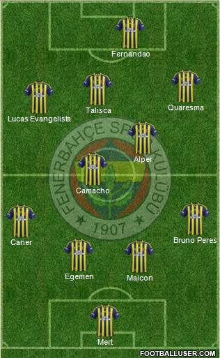 Fenerbahçe SK Formation 2015