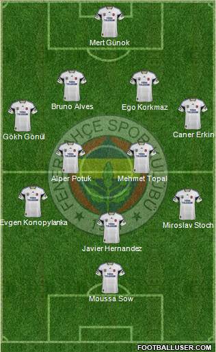 Fenerbahçe SK Formation 2015