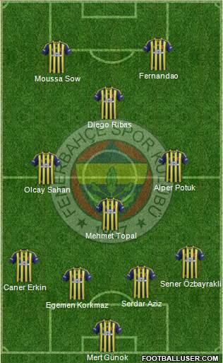 Fenerbahçe SK Formation 2015