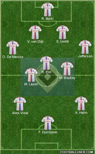 Hamburger SV Formation 2015