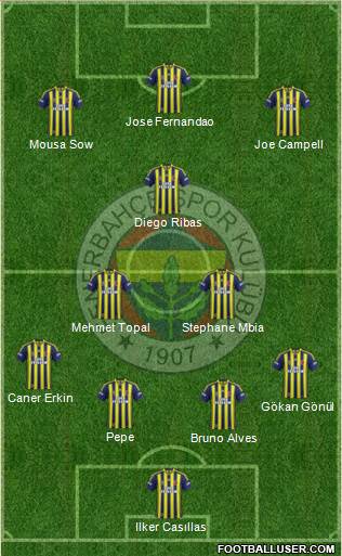 Fenerbahçe SK Formation 2015