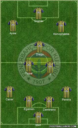 Fenerbahçe SK Formation 2015