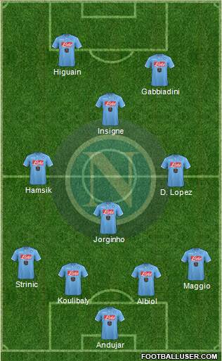 Napoli Formation 2015
