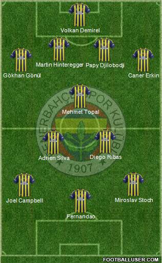 Fenerbahçe SK Formation 2015
