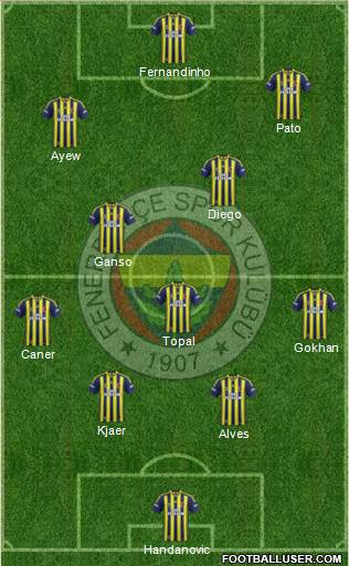 Fenerbahçe SK Formation 2015
