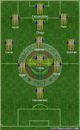 Fenerbahçe SK Formation 2015