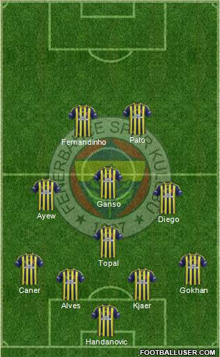 Fenerbahçe SK Formation 2015