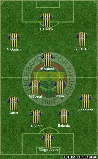 Fenerbahçe SK Formation 2015