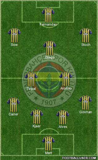 Fenerbahçe SK Formation 2015