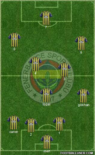 Fenerbahçe SK Formation 2015