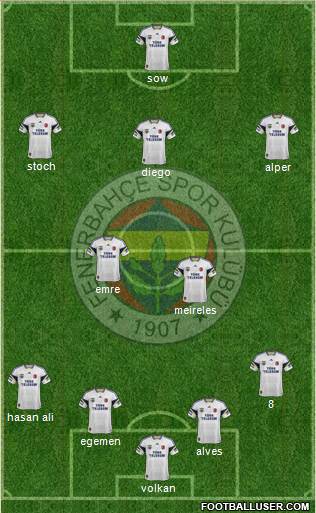Fenerbahçe SK Formation 2015