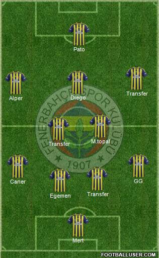 Fenerbahçe SK Formation 2015