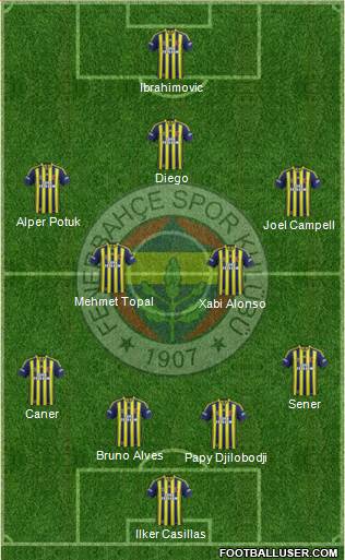 Fenerbahçe SK Formation 2015