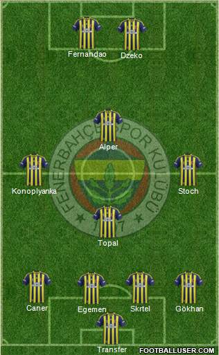 Fenerbahçe SK Formation 2015