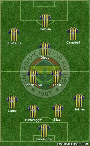 Fenerbahçe SK Formation 2015