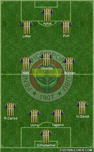 Fenerbahçe SK Formation 2015