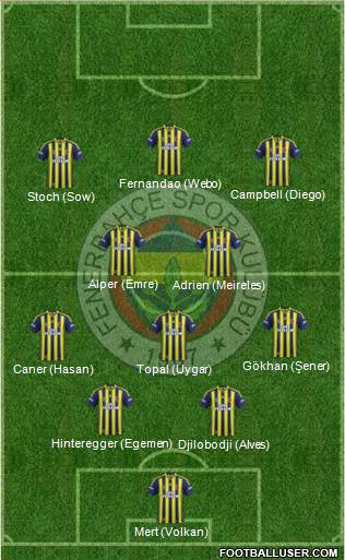 Fenerbahçe SK Formation 2015