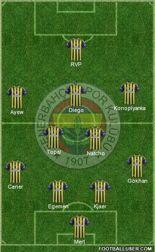 Fenerbahçe SK Formation 2015