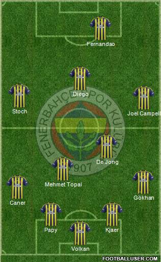 Fenerbahçe SK Formation 2015