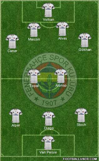 Fenerbahçe SK Formation 2015
