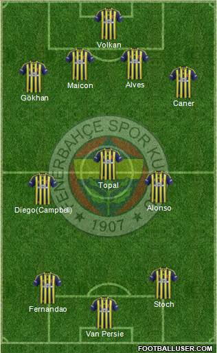 Fenerbahçe SK Formation 2015