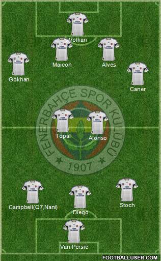 Fenerbahçe SK Formation 2015