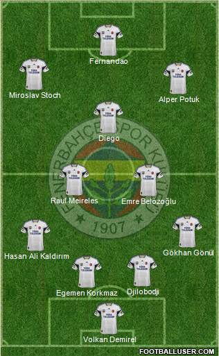 Fenerbahçe SK Formation 2015
