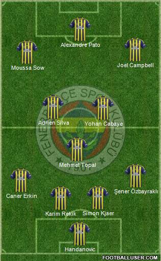 Fenerbahçe SK Formation 2015