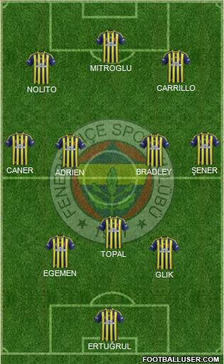 Fenerbahçe SK Formation 2015