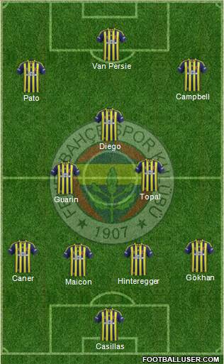 Fenerbahçe SK Formation 2015
