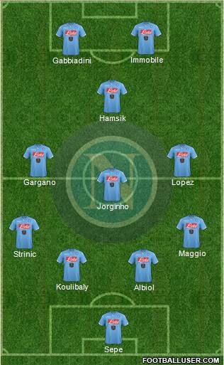 Napoli Formation 2015